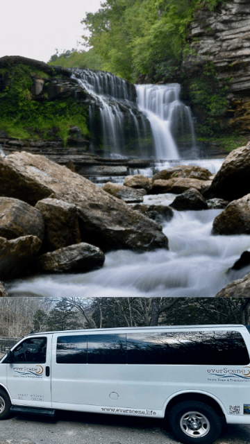 Images